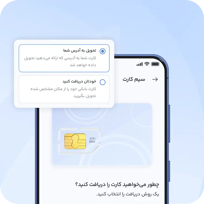 PayPie SIM card ordering screen